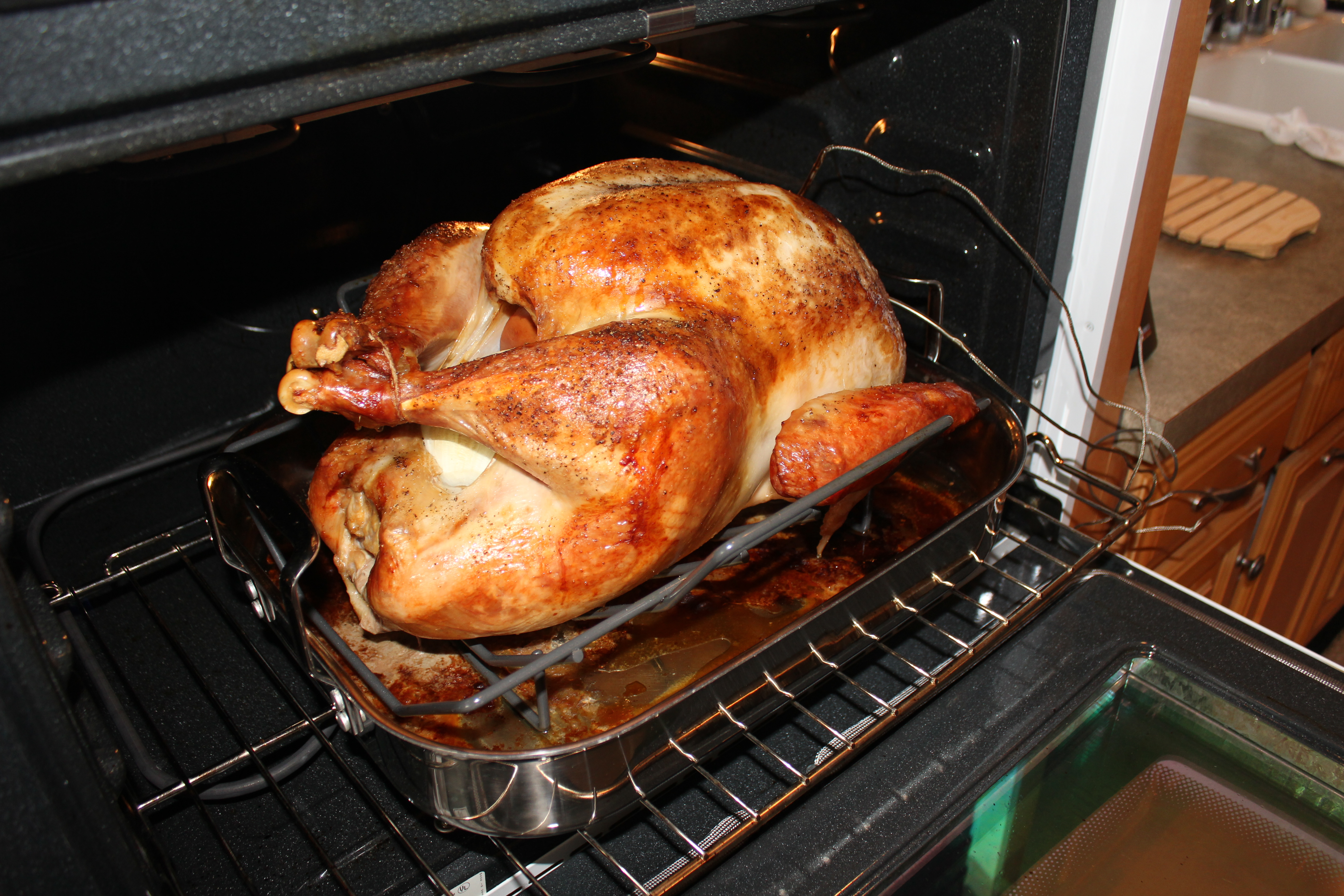 A perfectly golden-baked turkey in the oven.